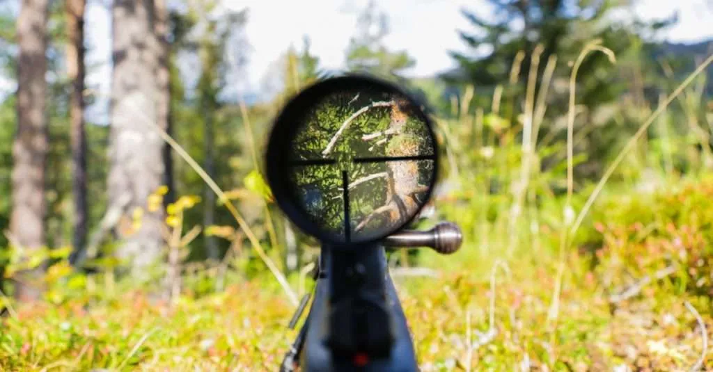 How To Sight In A Rifle Scope At 50 Yards