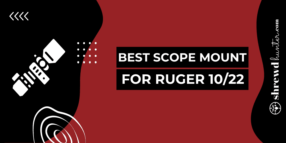 Best Scope Mounts For Ruger 10/22