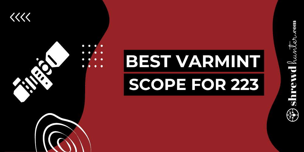 Best Varmint Scope For 223